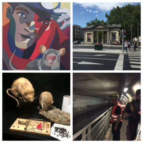 collage de photos du musée bruxellois des égouts
