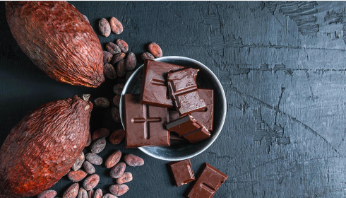graines de cacao et carrés de chocolats